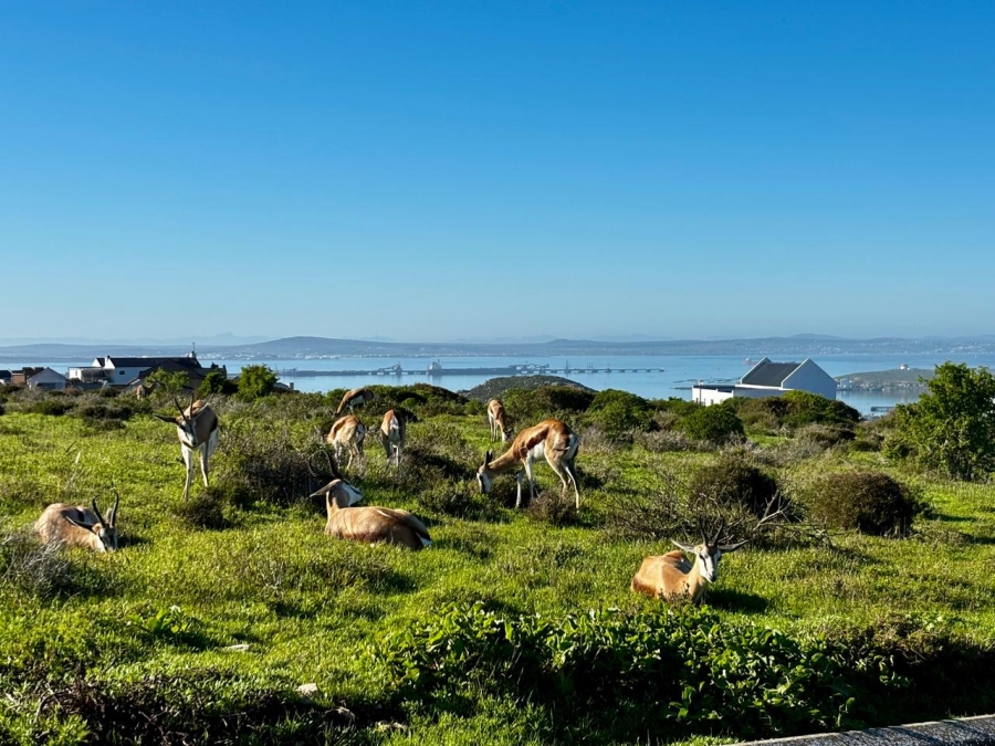 4 Bedroom Property for Sale in Hoogland Western Cape